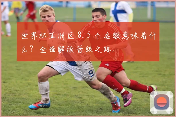 世界杯亚洲区 8.5 个名额意味着什么?全面解读晋级之路。