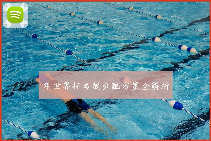 年世界杯名额分配方案全解析